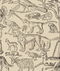 Exempel på recammi, sidan 13 recto, 1530.