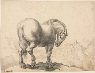Studie av en hingst, första tredje 1700-talet.