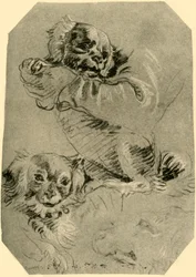 Bologna Dogs, 1751-1752, 1928