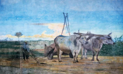 Insamling av gödsel, vagn med oxar