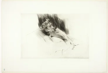 Whistler sover