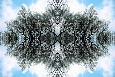 Onaturligt 100 (digitalt manipulerat foto)