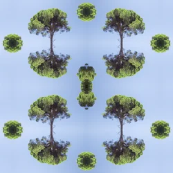 Onaturligt 118 (digitalt manipulerat foto)