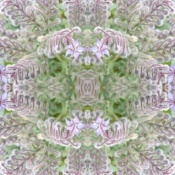 Onaturligt 161 (digitalt manipulerat foto)