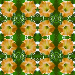 Onaturligt 171.1 (digitalt manipulerat foto)