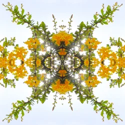 Onaturligt 175 (digitalt manipulerat foto)