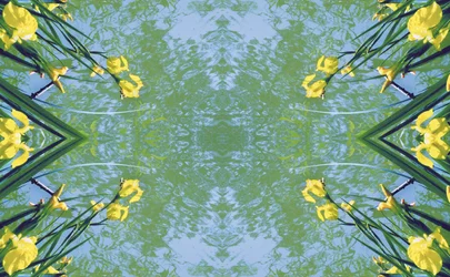 Onaturlig 17 (digitalt manipulerat foto)