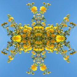 Onaturligt 193 (digitalt manipulerat foto)