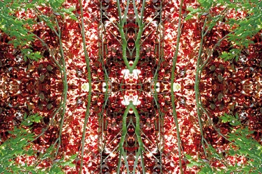 Onaturlig 23 (digitalt manipulerat foto)