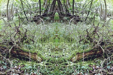 Onaturlig 33 (digitalt manipulerat foto)