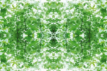 Onaturlig 34 (digitalt manipulerat foto)