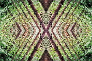 Onaturlig 37 (digitalt manipulerat foto)
