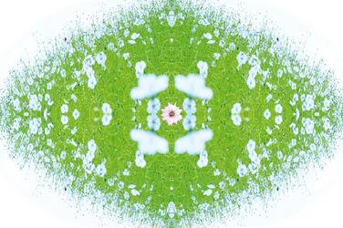 Onaturlig 37 (digitalt manipulerat foto)