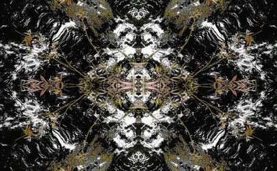 Onaturlig 37 (digitalt manipulerat foto)
