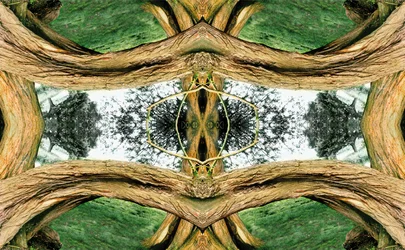 Onaturlig 37 (digitalt manipulerat foto)