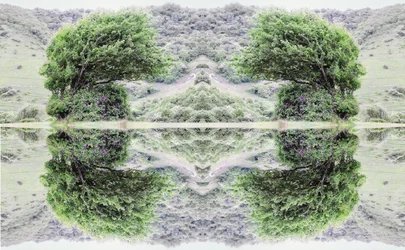 Onaturligt 40 (digitalt manipulerat foto)