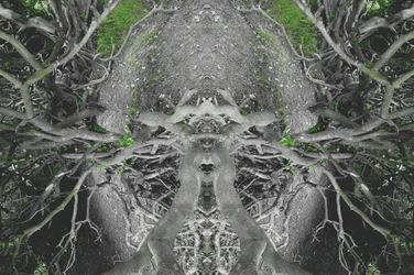 Onaturligt 42 (digitalt manipulerat foto)