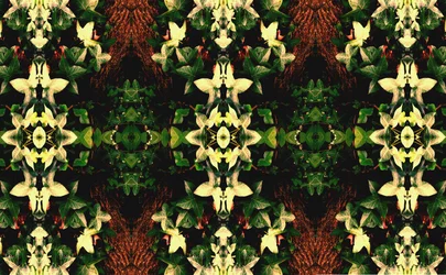 Onaturligt 43 (digitalt manipulerat foto)