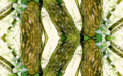 Onaturlig 45 (digitalt manipulerat foto)