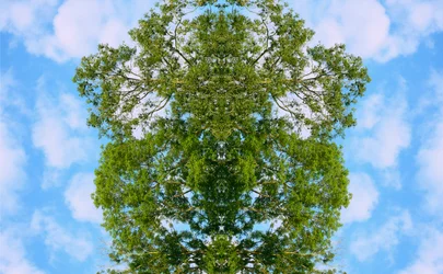 Onaturligt 46 (digitalt manipulerat foto)