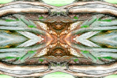 Onaturlig 64 (digitalt manipulerat foto)