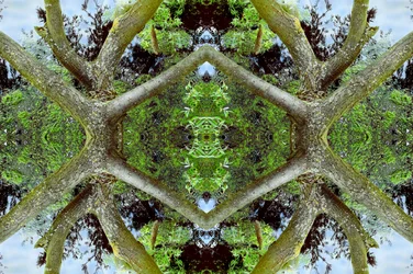 Onaturligt 65.2 (digitalt manipulerat foto)