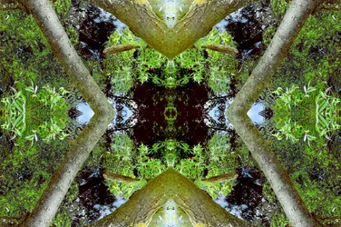 Onaturligt 65.3 (digitalt manipulerat foto)