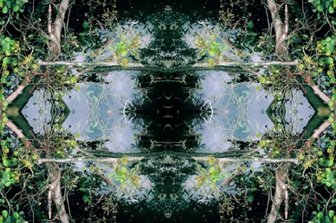 Onaturligt 73 (digitalt manipulerat foto)