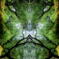 Onaturlig 75 (digitalt manipulerat foto)