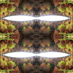 Onaturligt 77.1 (digitalt manipulerat foto)