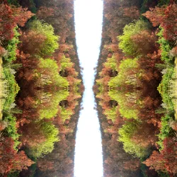 Onaturlig 77 (digitalt manipulerat foto)