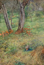 A Woodland Hideout (wc på papper)