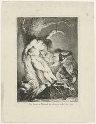 Saint Sebastian vårdas av Saint Irene La tenera pietade in donna alberga (titel på objekt)