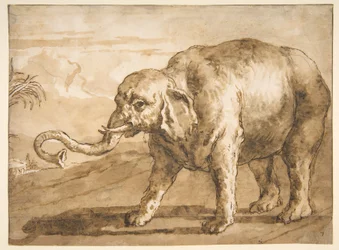 Elefant i ett landskap