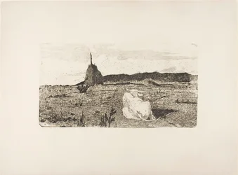Heliga ko