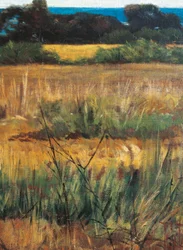 Italien, Florens, Maremma Toscana, cirka 1894, detalj