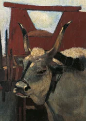 Italien, Florens, Maremma Toscana, cirka 1894, detalj