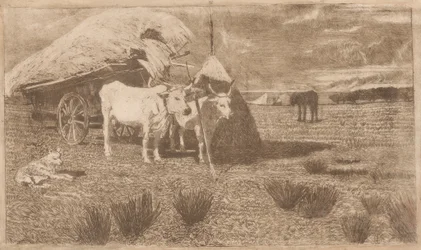 Oxar spända framför en vagn (Maremma) (Bovi al carro (Maremma))