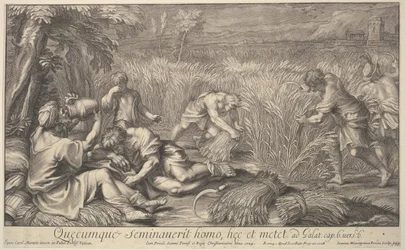Skördare av spannmål, 1704.