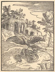 Fågel och orm, 1570.