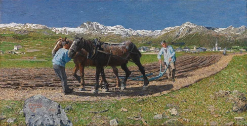 Plöjning