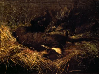Död sämskskinn