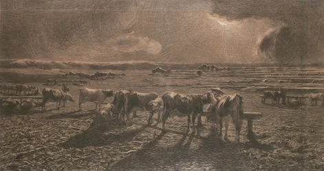 Evening (Grazing, Alla stanga)