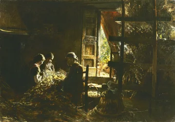 Samla kokongerna, 1882-1883.