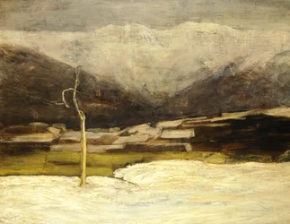 Savognino landskap
