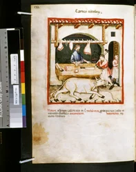 Theatrum sanitatis av Ububchasym de Baldach: "Carnes Vitulorum", första decenniet av 1300-talet (miniatyr)