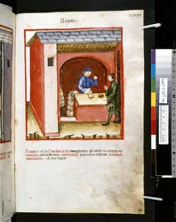 Theatrum sanitatis av Ububchasym de Baldach: "Rizon", 1300-talets första decennium (miniatyr)