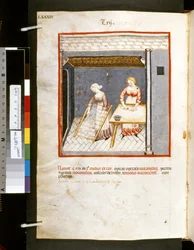 Theatrum sanitatis av Ububchasym de Baldach: "Trij", 1300-talets första decennium (miniatyr)