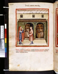 Theatrum sanitatis av Ububchasym de Baldach: "Vinum Vetus Odoriferum", första decenniet av 1300-talet (miniatyr)