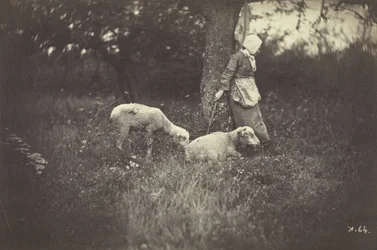 Herdinna lutad mot ett träd, med två får, 1870.